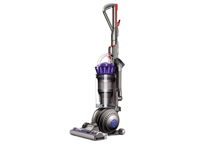 dyson animal 2 amazon